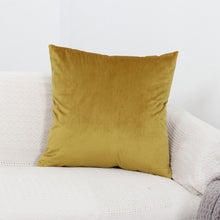 Load image into Gallery viewer, Soft Velvet Cushion Covers
